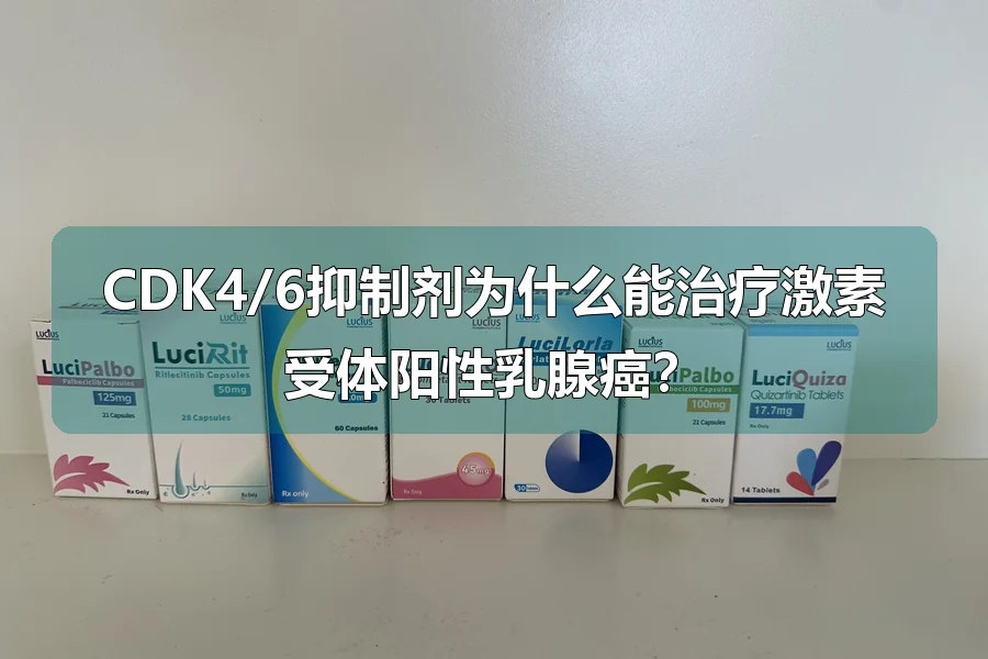 CDK4/6抑制剂为什么能治疗激素受体阳性乳腺癌?